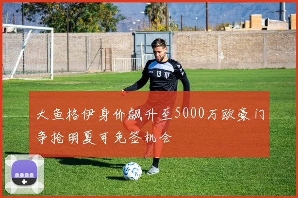 大鱼格伊身价飙升至5000万欧豪门争抢明夏可免签机会